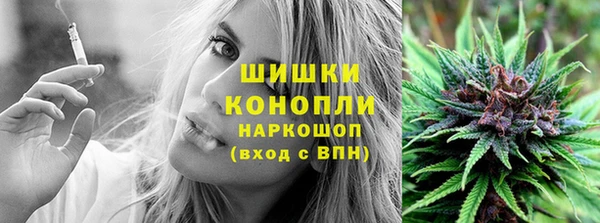 прущая мука Корсаков